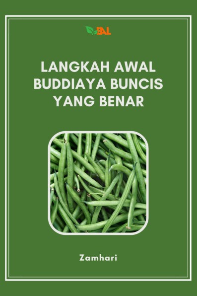 Langkah Awal Buddiaya Buncis yang Benar
